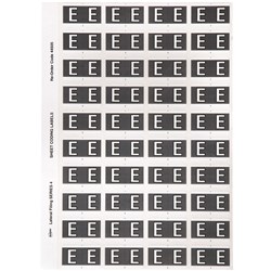 AVERY ALPHABET CODING LABEL E SIDE TAB 25X42MM GREY PACK OF 240