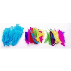 JASART FEATHERS SMALL ASSORTED PACK OF 50